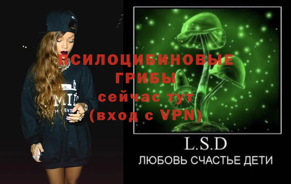 прущий лед Абаза