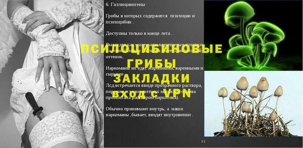 бошки Абинск