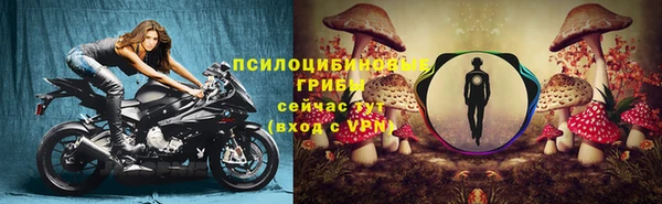 прущий лед Абаза