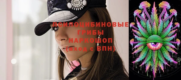 ПСИЛОЦИБИНОВЫЕ ГРИБЫ Алзамай