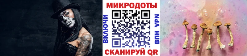 Псилоцибиновые грибы мицелий  Балаково 